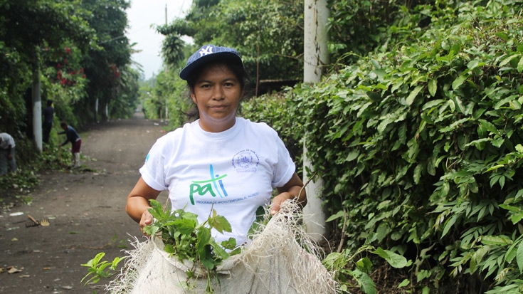 Trabajar dejó de ser un sueño para los salvadoreños